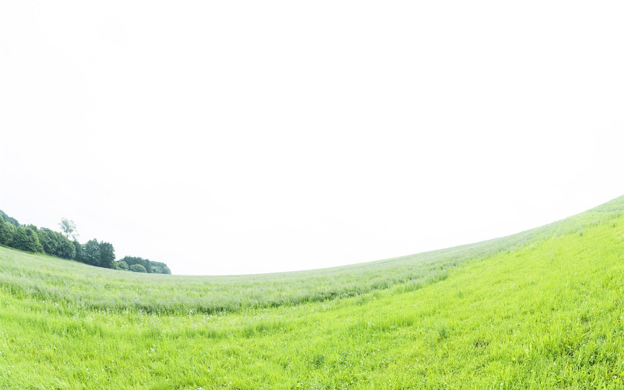 綠色草地(四) #6 - 1280x800