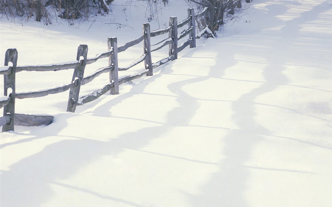 Snow forest wallpaper (3) #11 - 1280x800