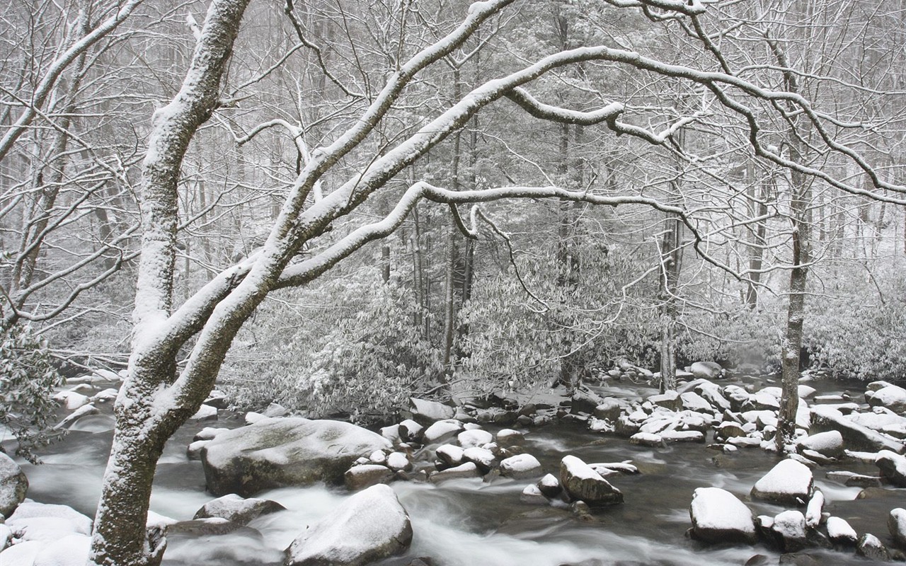 白雪森林(三)12 - 1280x800