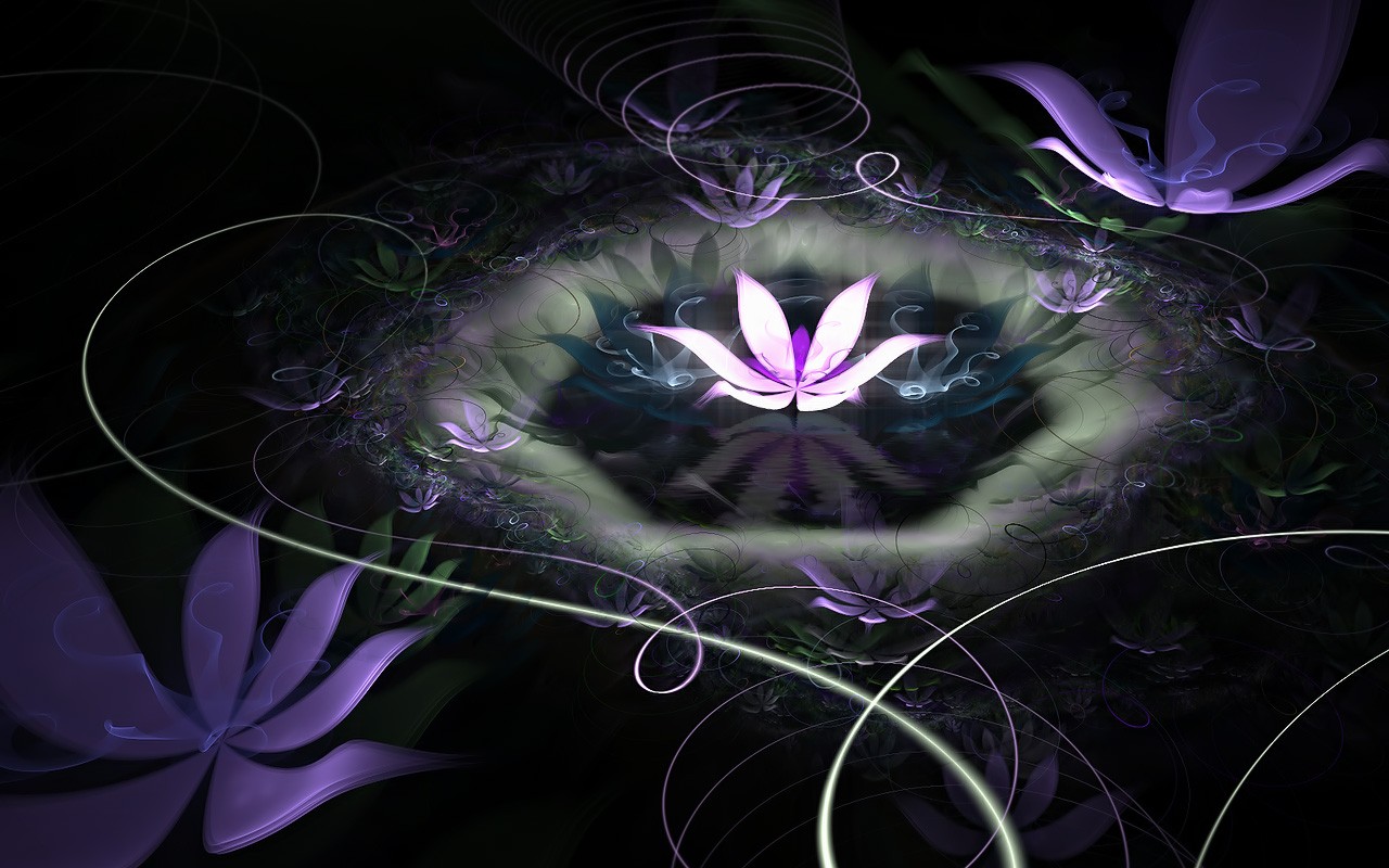 3D夢幻抽象花朵壁紙 #10 - 1280x800