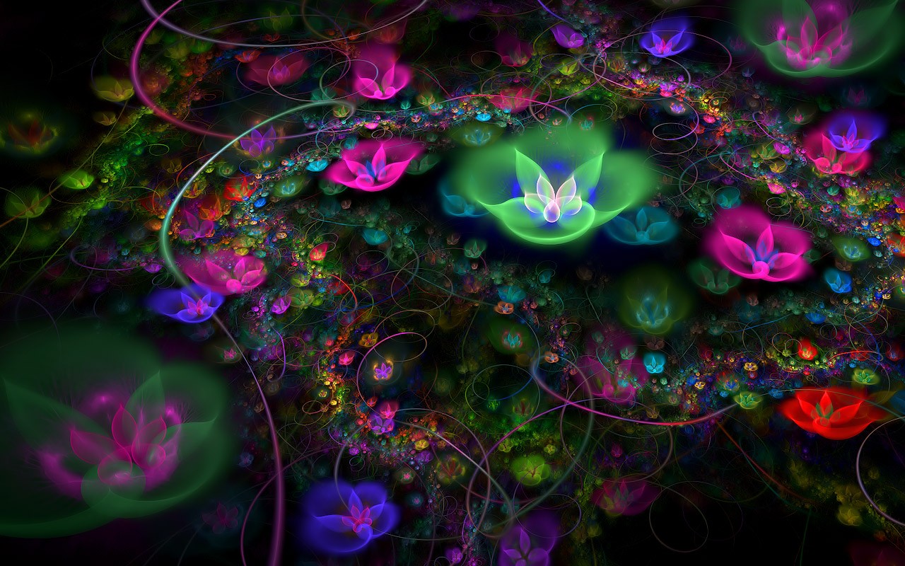 3D梦幻抽象花朵壁纸18 - 1280x800
