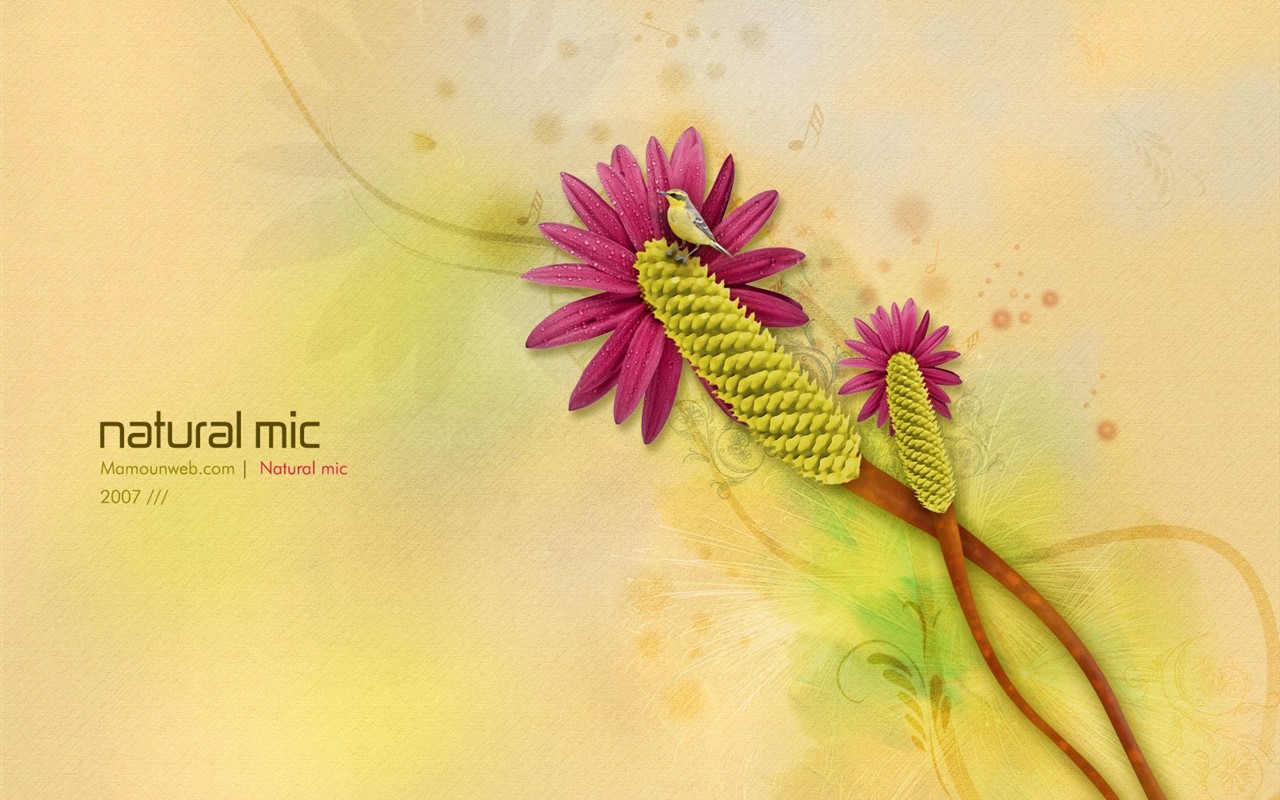 Exquisite design Vladstudio Wallpaper #4 - 1280x800