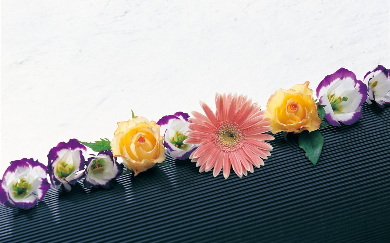 Indoor flower wallpaper (1) #27 - 1280x800