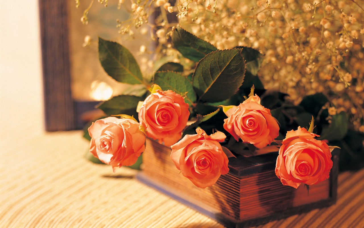 Indoor flower wallpaper (1) #30 - 1280x800