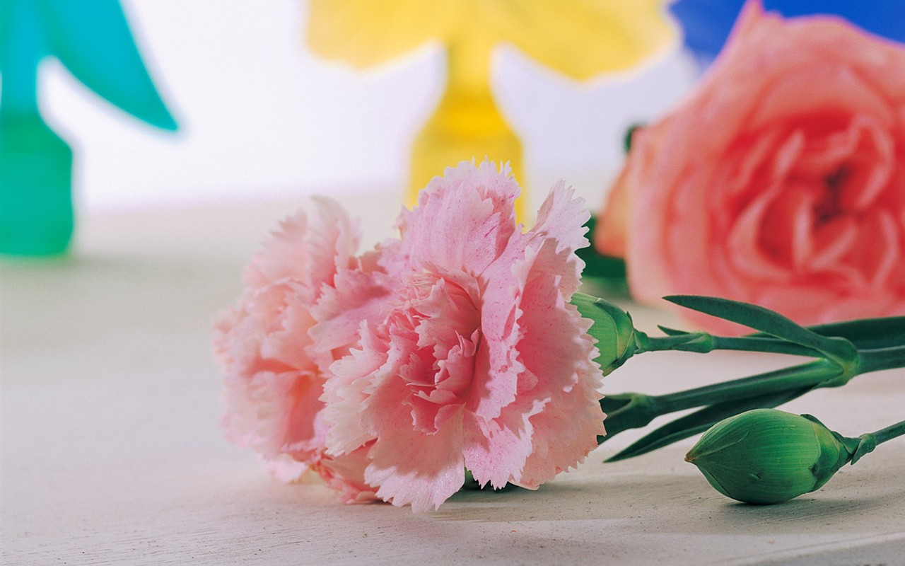 Indoor flower wallpaper (1) #39 - 1280x800