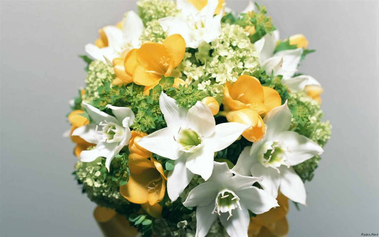 Indoor flower wallpaper (2) #13 - 1280x800