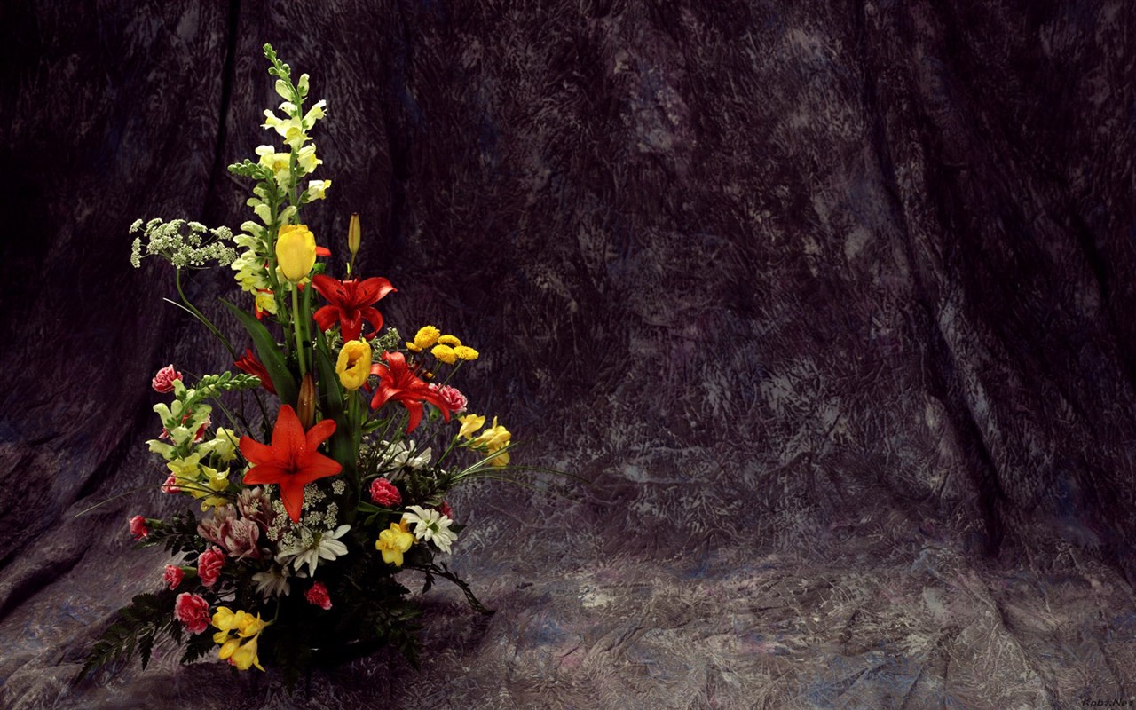 Vnitřní květinové tapety (2) #14 - 1280x800