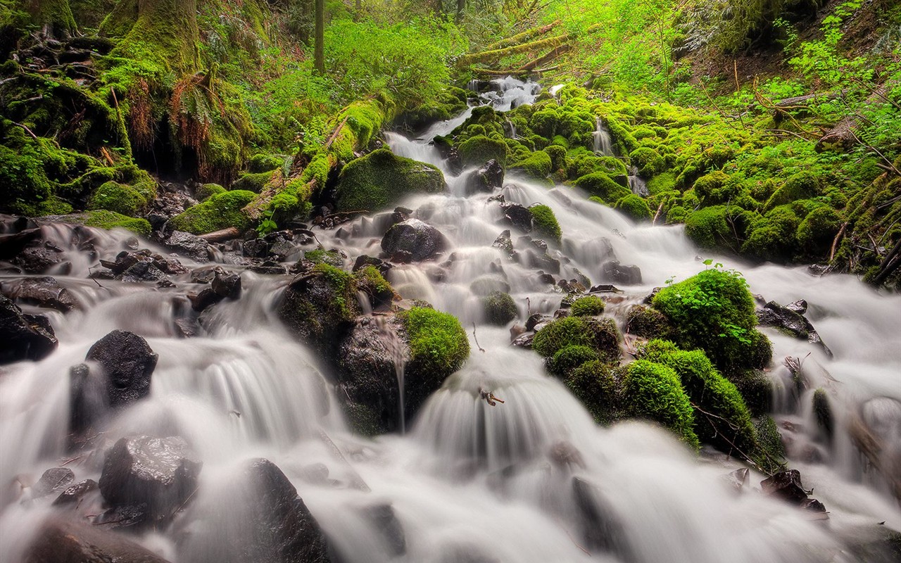 Beautiful scenery wallpaper albums #14 - 1280x800