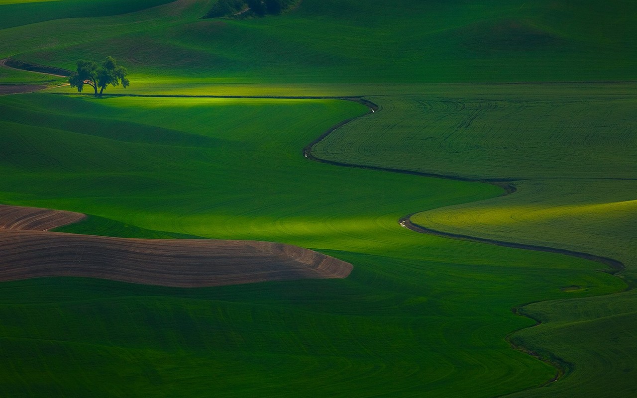 Schöne Landschaft Tapeten Alben #20 - 1280x800