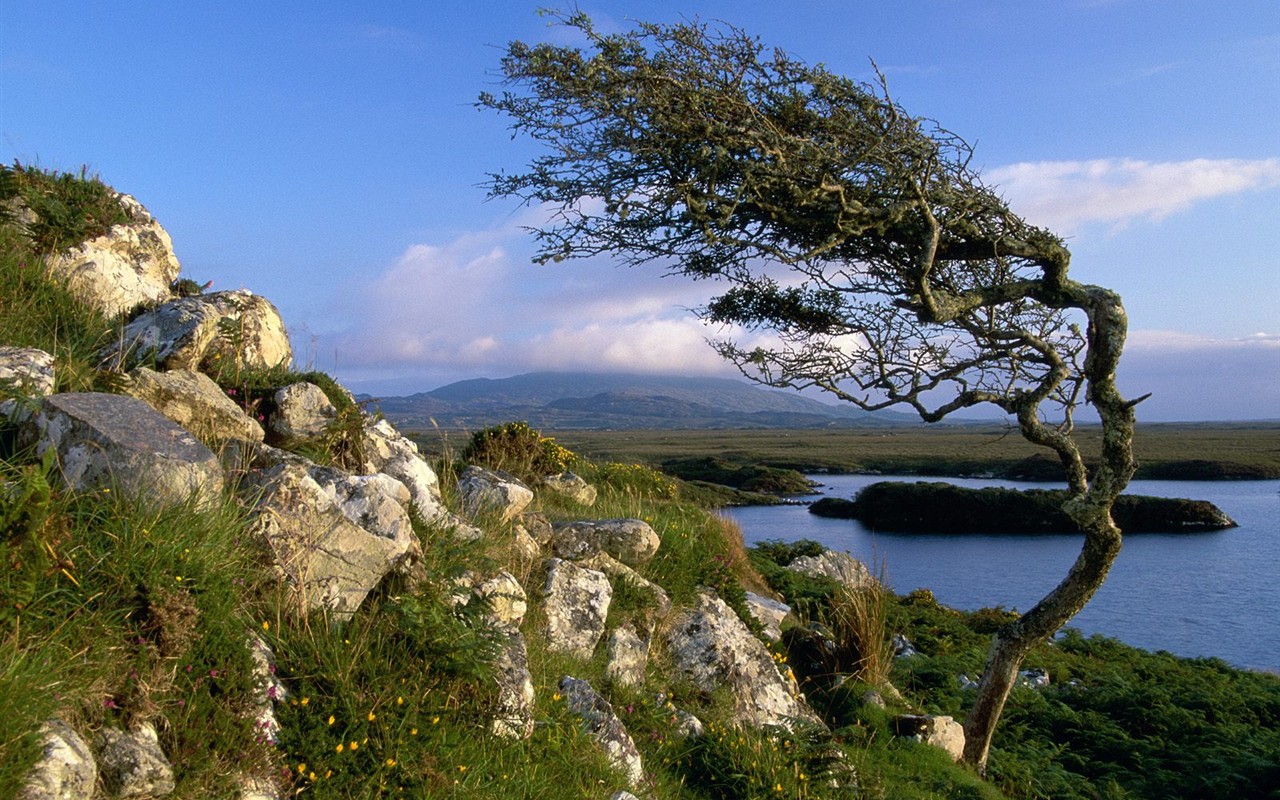 Webshots natural scenery Wallpaper #6 - 1280x800