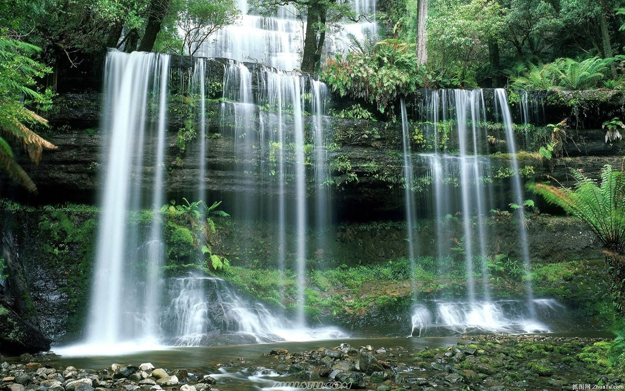 Falls Forest HD Wallpaper #1 - 1280x800