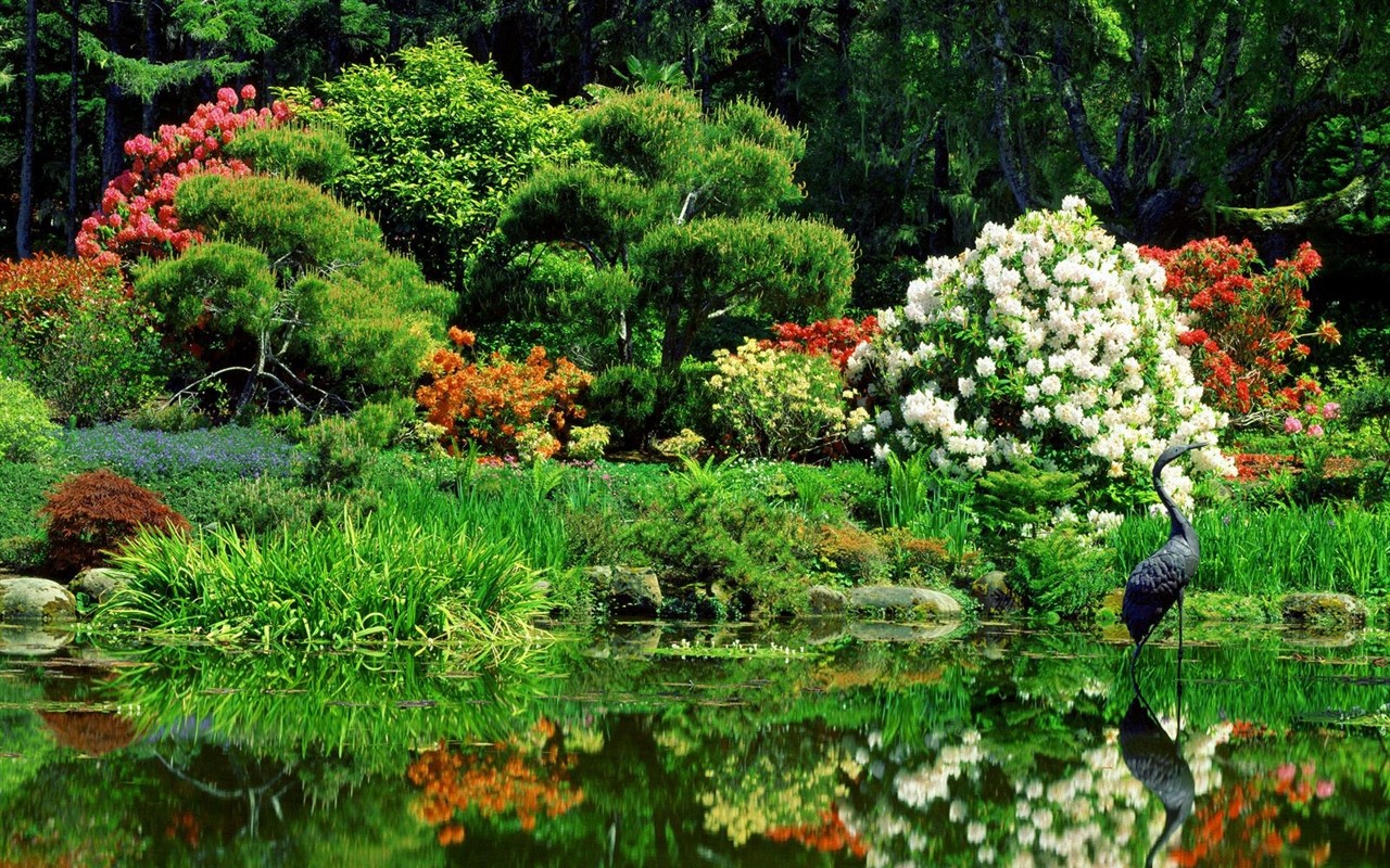 Falls Lesní HD Wallpaper #2 - 1280x800