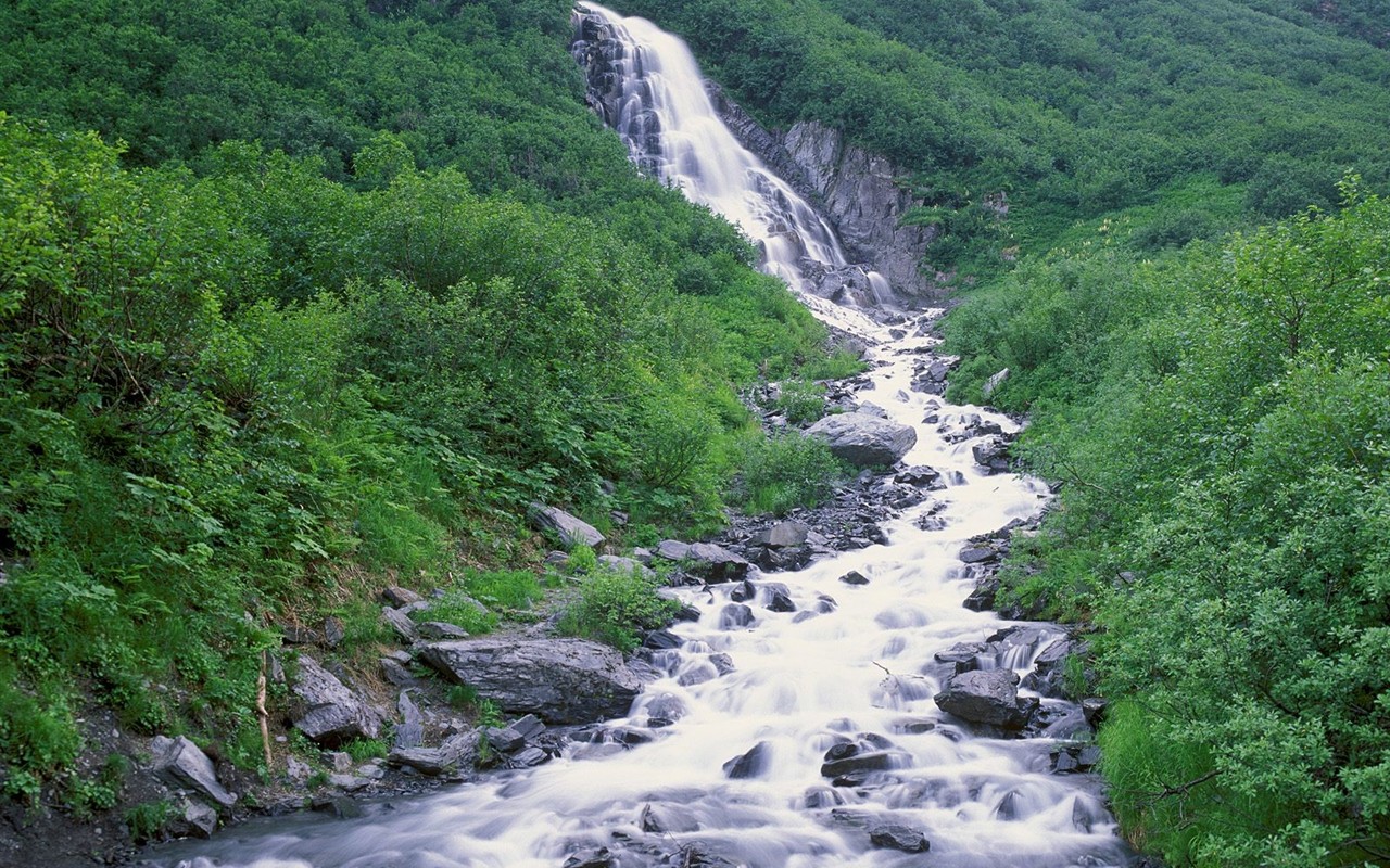 Falls Lesní HD Wallpaper #6 - 1280x800