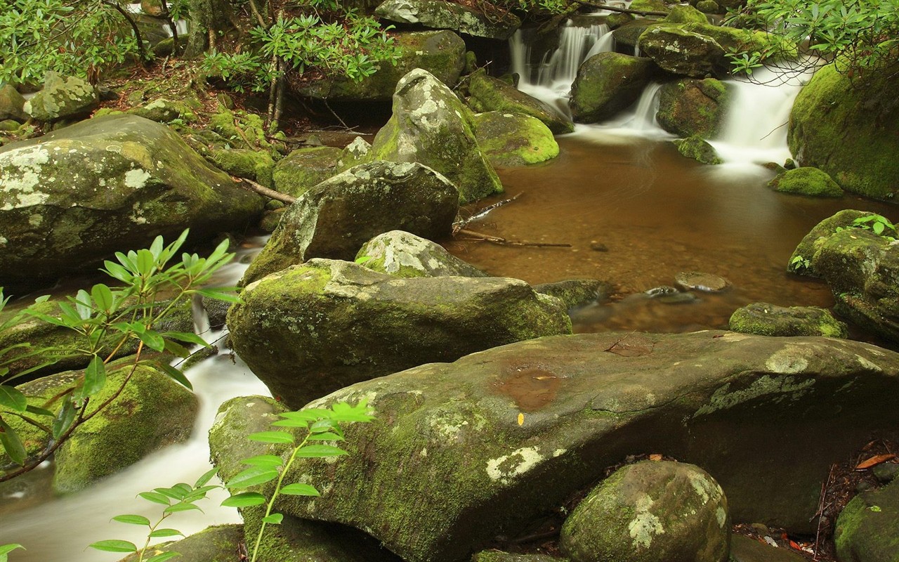 Falls Lesní HD Wallpaper #16 - 1280x800