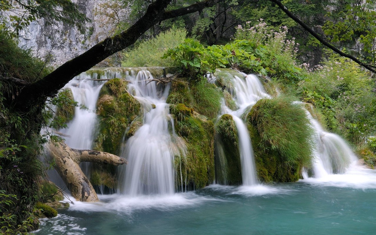 Falls Lesní HD Wallpaper #17 - 1280x800