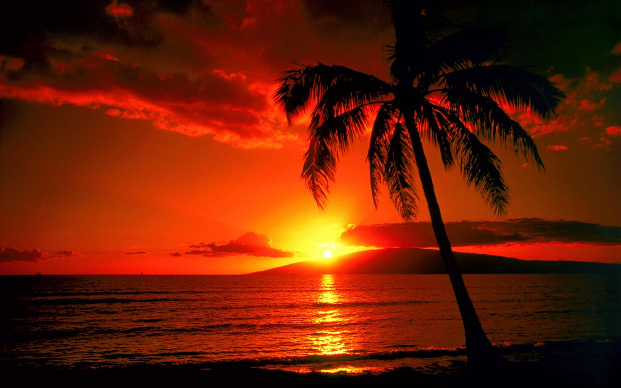 Wunderschöne Sonnenauf-und Sonnenuntergang Wallpaper #20 - 1280x800
