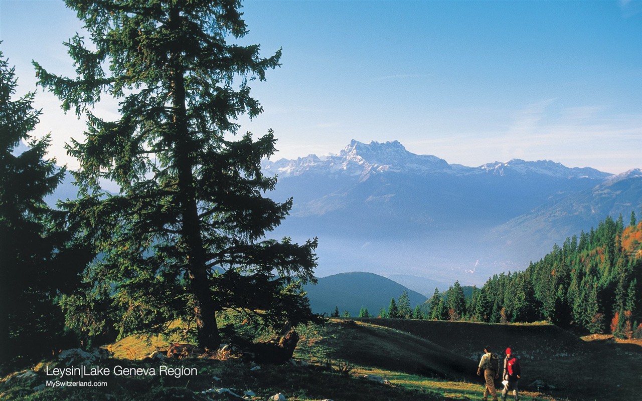 Schweiz Tapete Sommertourismus Attraktionen #1 - 1280x800