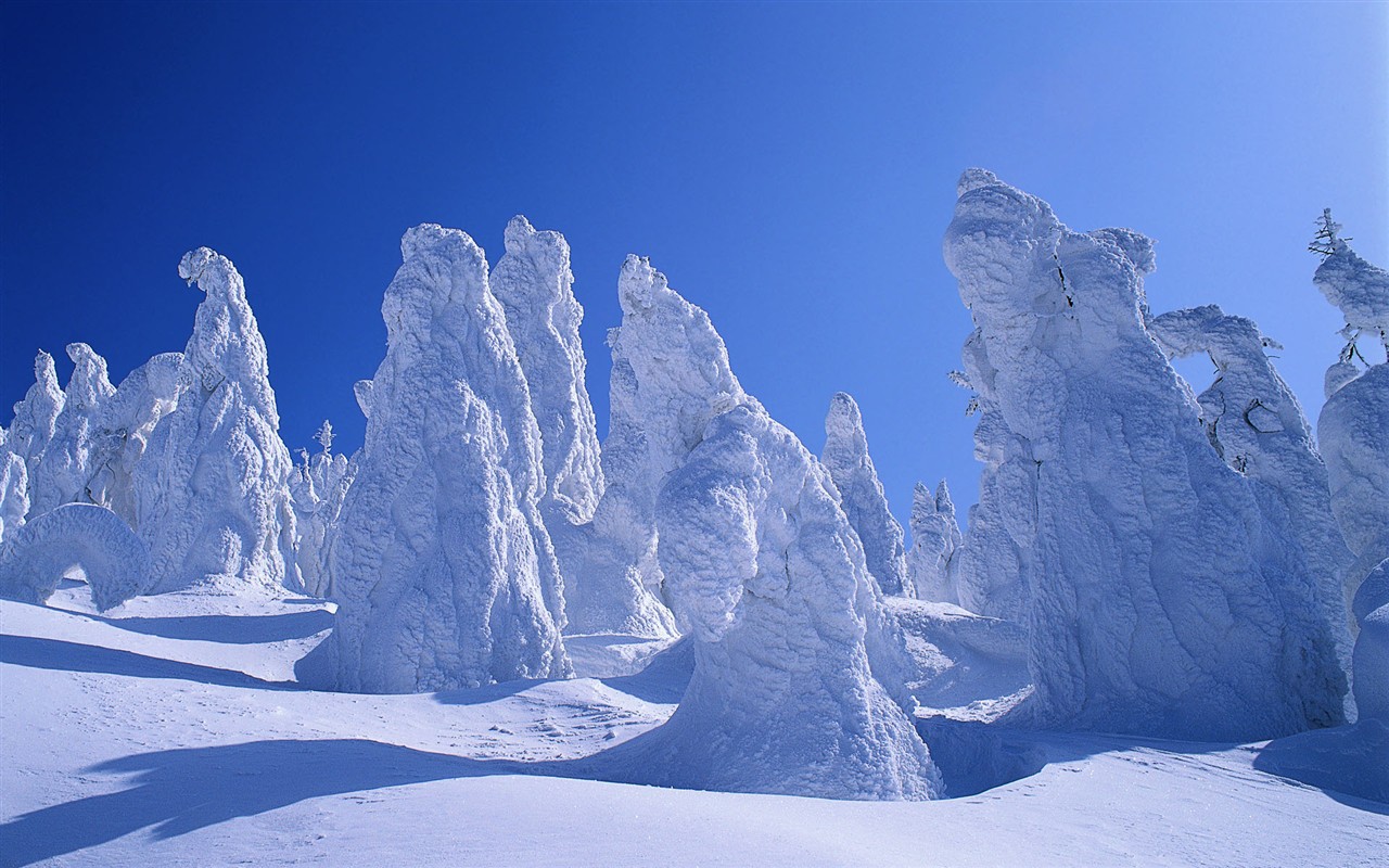 Windows7 官方壁紙 #14 - 1280x800