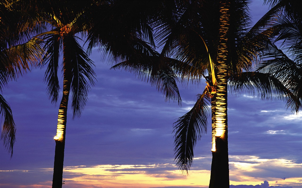 The beautiful seaside scenery HD Wallpapers #11 - 1280x800