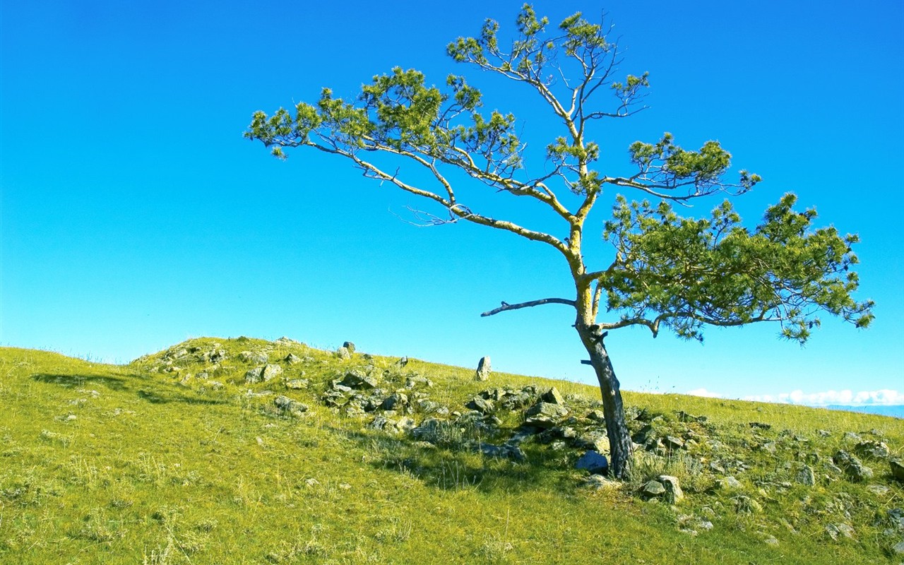 シベリアの美しい自然の風景 #5 - 1280x800