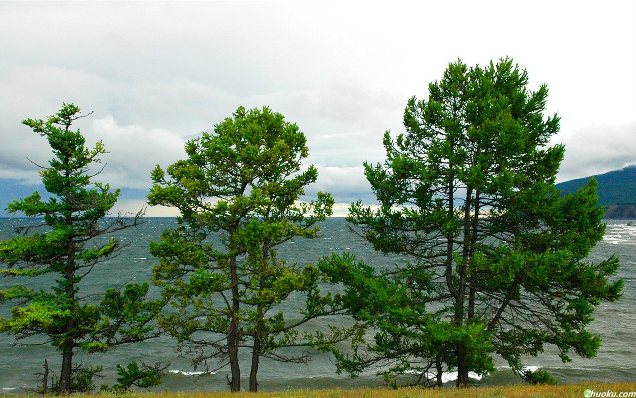 Un beau paysage naturel en Sibérie #11 - 1280x800