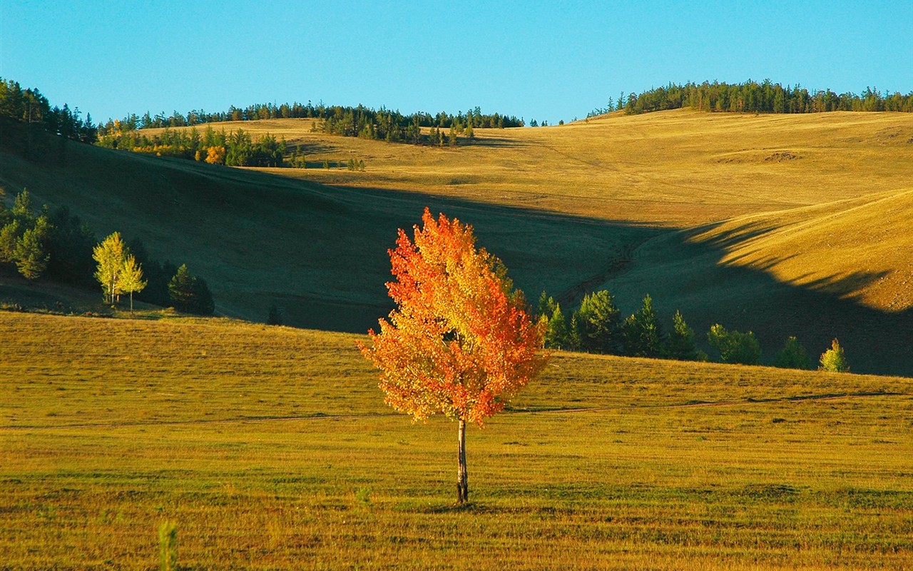 Un beau paysage naturel en Sibérie #16 - 1280x800