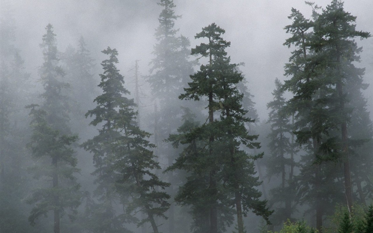 Beautiful natural scenery in Siberia #22 - 1280x800