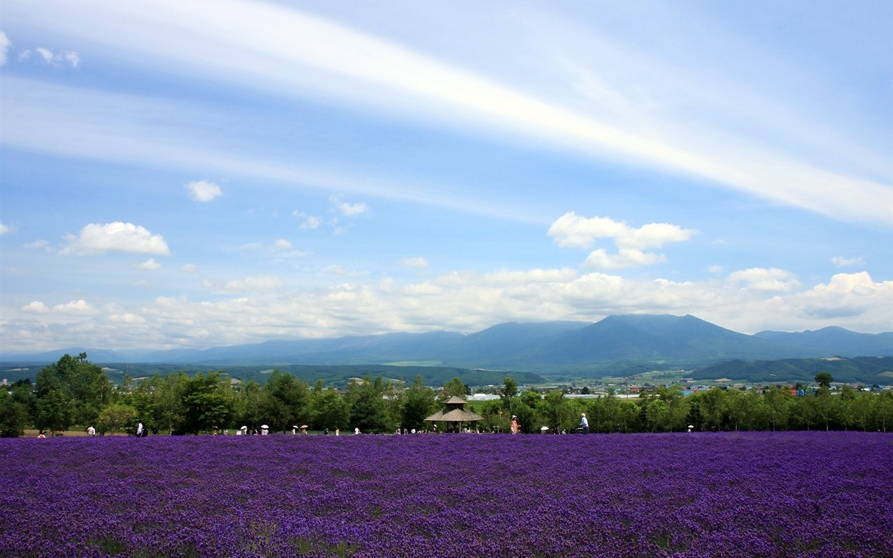 Hokkaido countryside scenery #3 - 1280x800