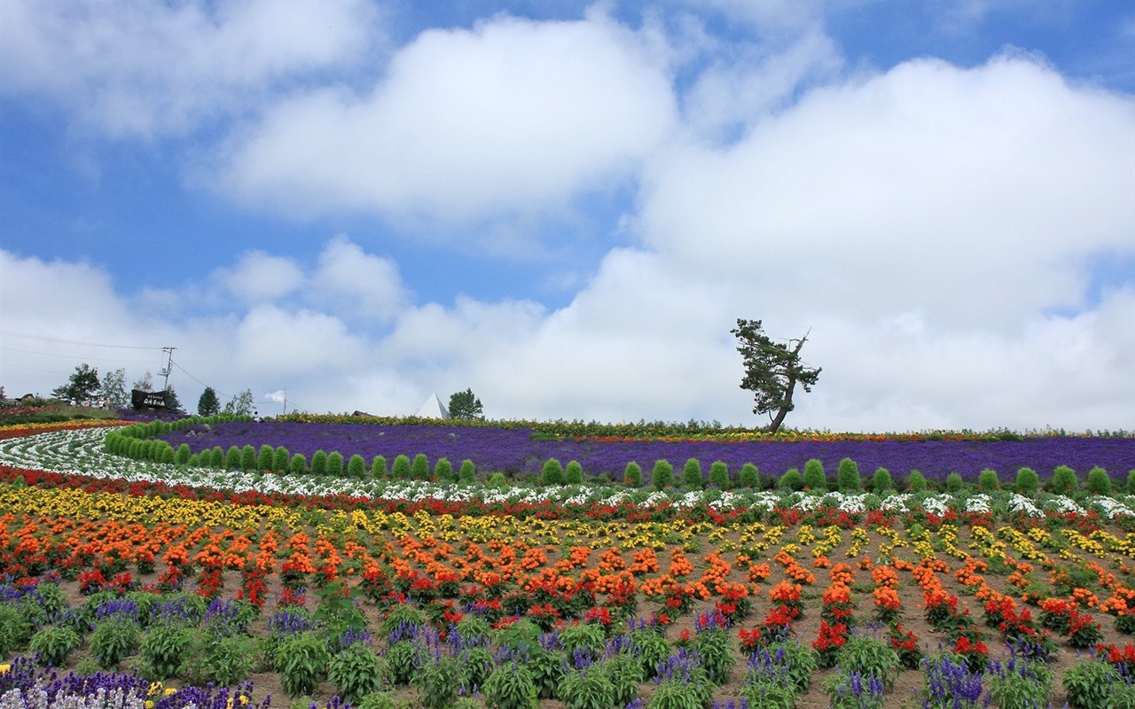 Hokkaido countryside scenery #7 - 1280x800