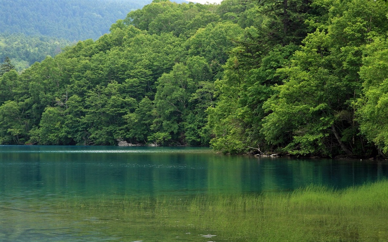 夏日北海道郊外風景 #8 - 1280x800