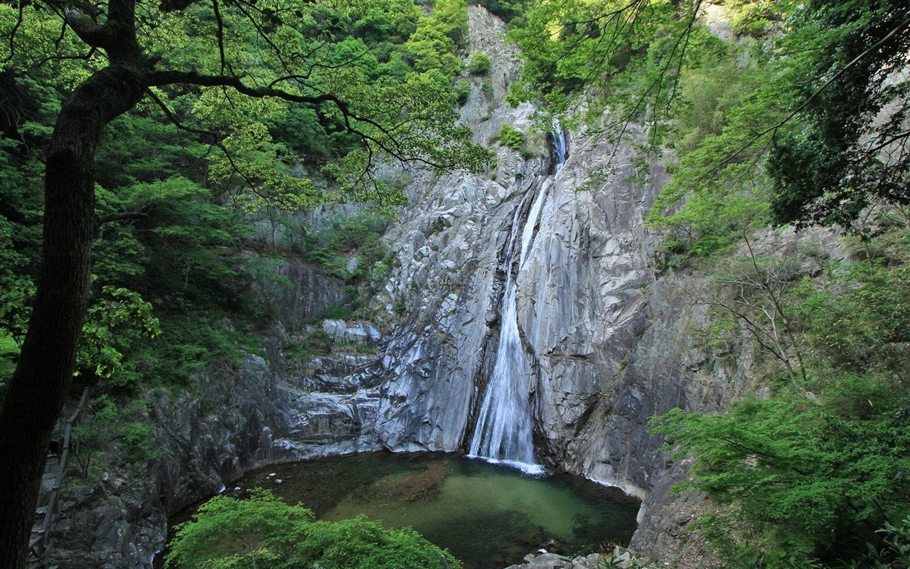 夏日北海道郊外風景 #12 - 1280x800