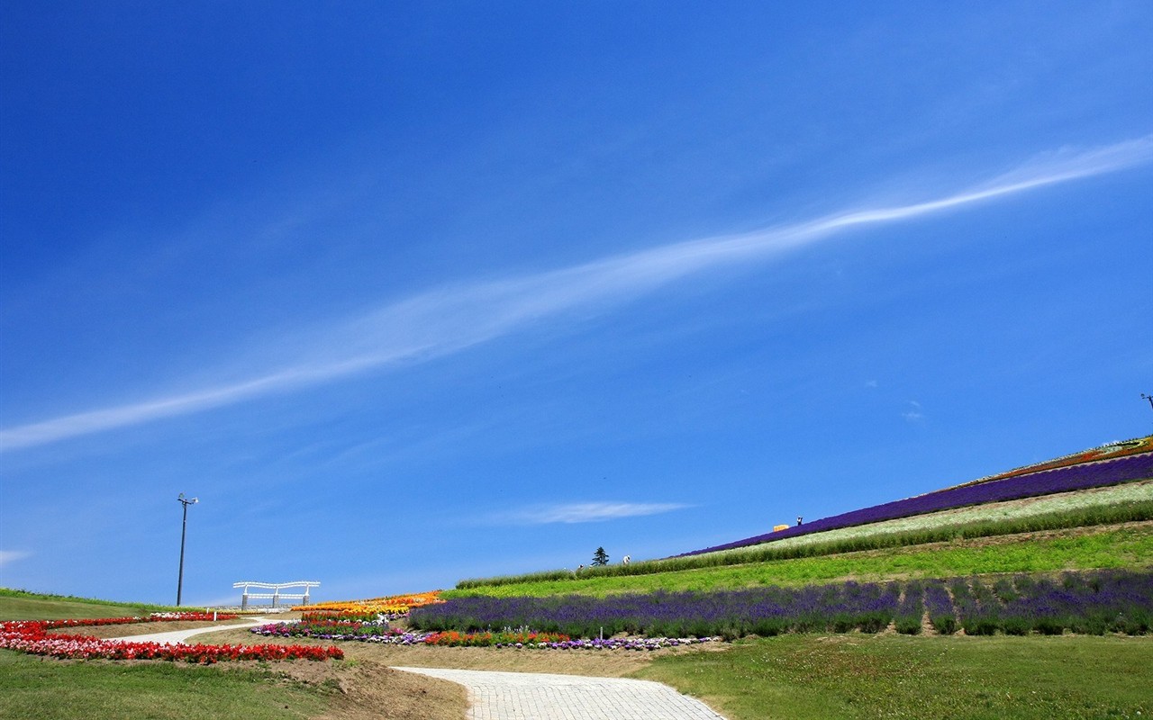 夏日北海道郊外風景 #16 - 1280x800