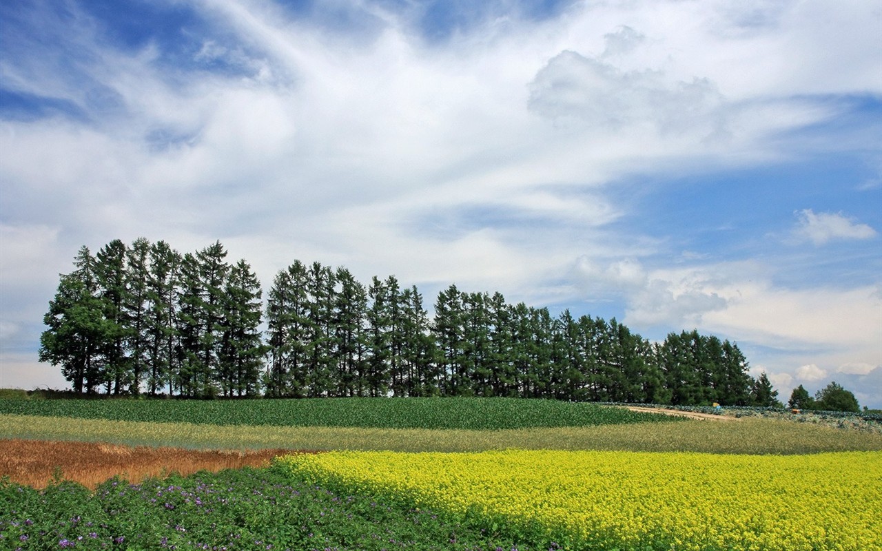 Hokkaido countryside scenery #18 - 1280x800