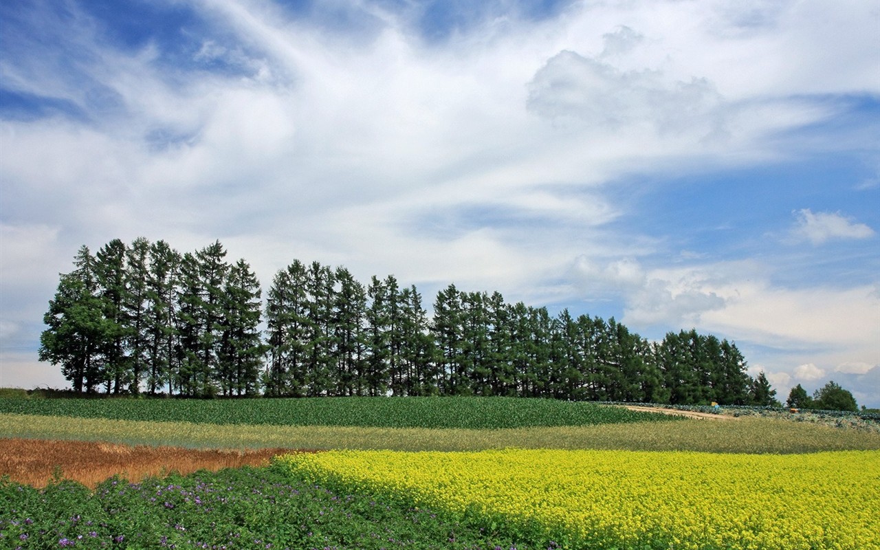 Hokkaido krajiny Krajina #18 - 1280x800