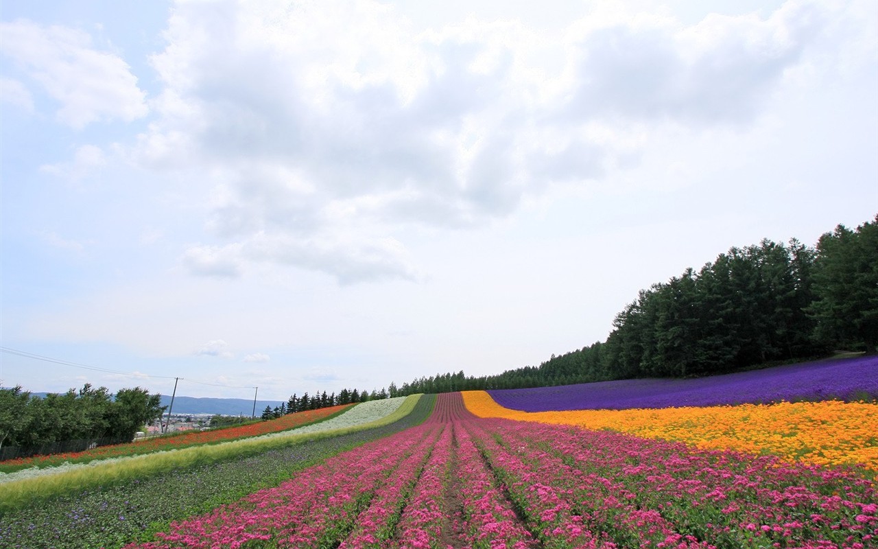Hokkaido countryside scenery #19 - 1280x800