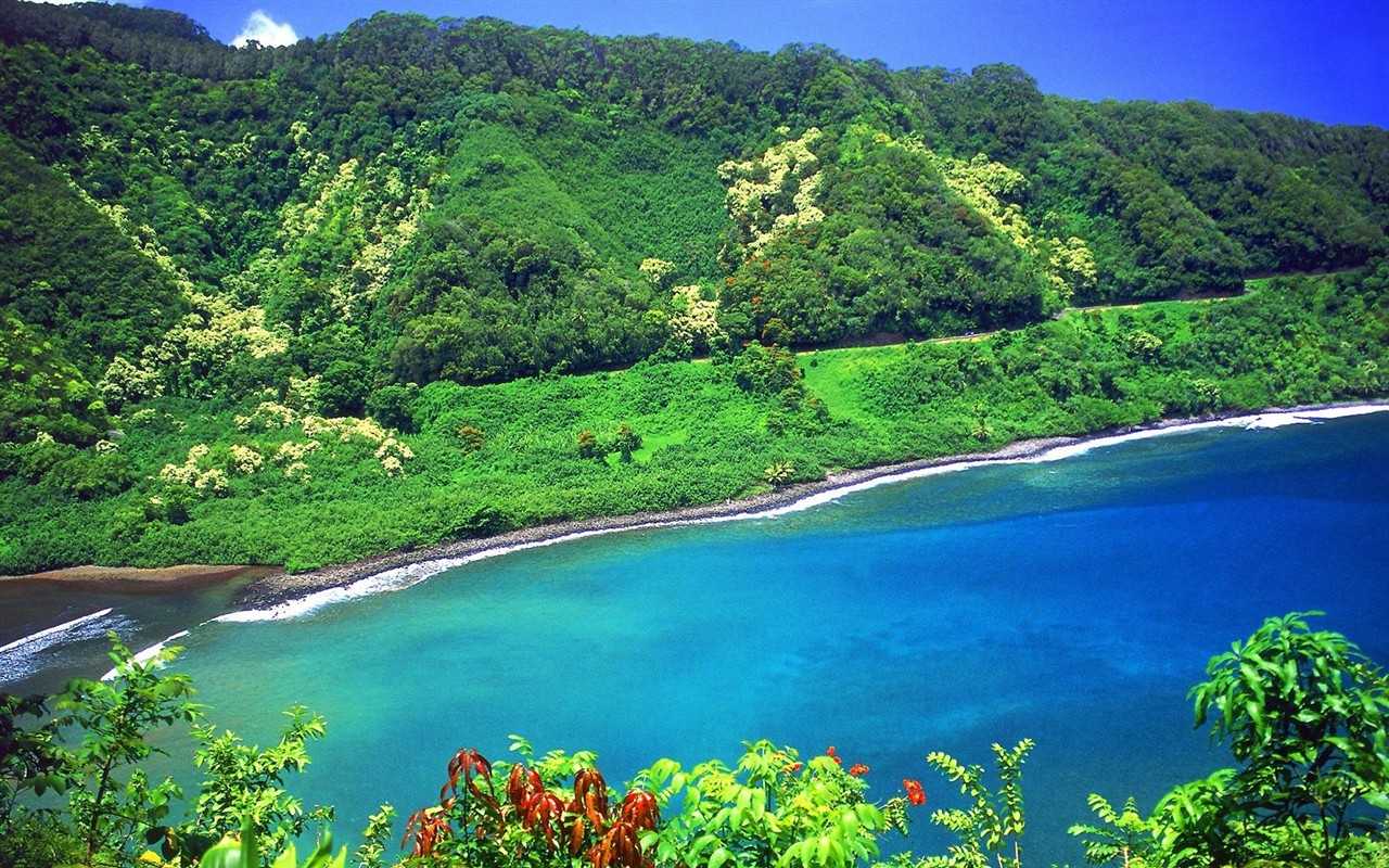 Hawaiianischer Strand Landschaft #6 - 1280x800