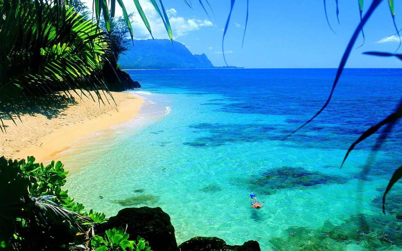 Hawaiianischer Strand Landschaft #18 - 1280x800