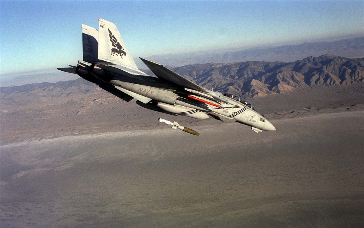 미 해군 F14 톰캣 전투기 #36 - 1280x800