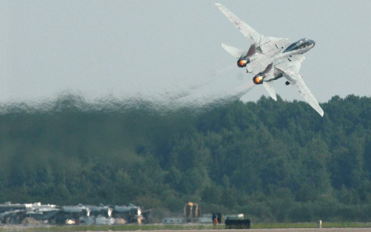 U.S. Navy F14 Tomcat fighter #38 - 1280x800