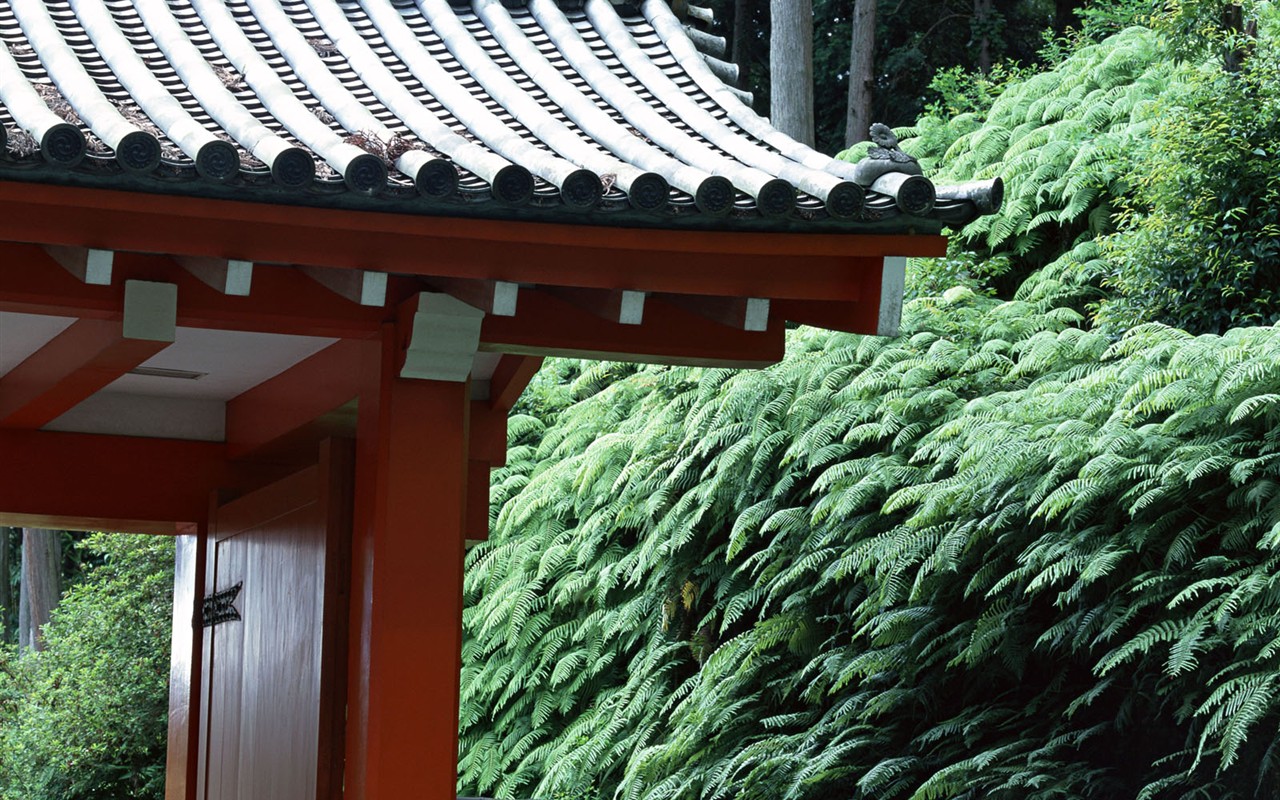 Kyoto, Japonsko, Krajina Tapety #6 - 1280x800