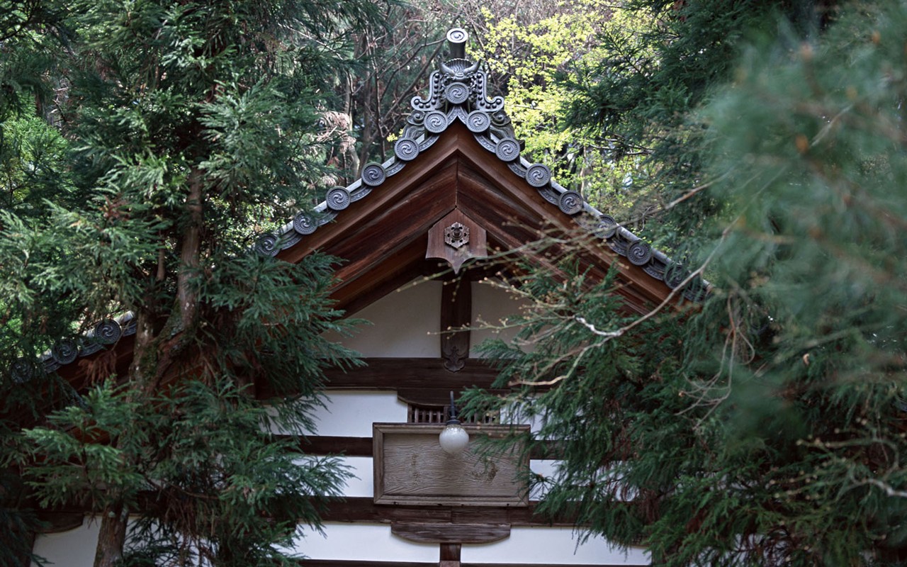 Kyoto, Japan, Landscape Wallpapers #18 - 1280x800