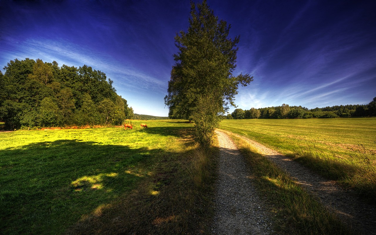 Rendering scenery HD Wallpapers #31 - 1280x800