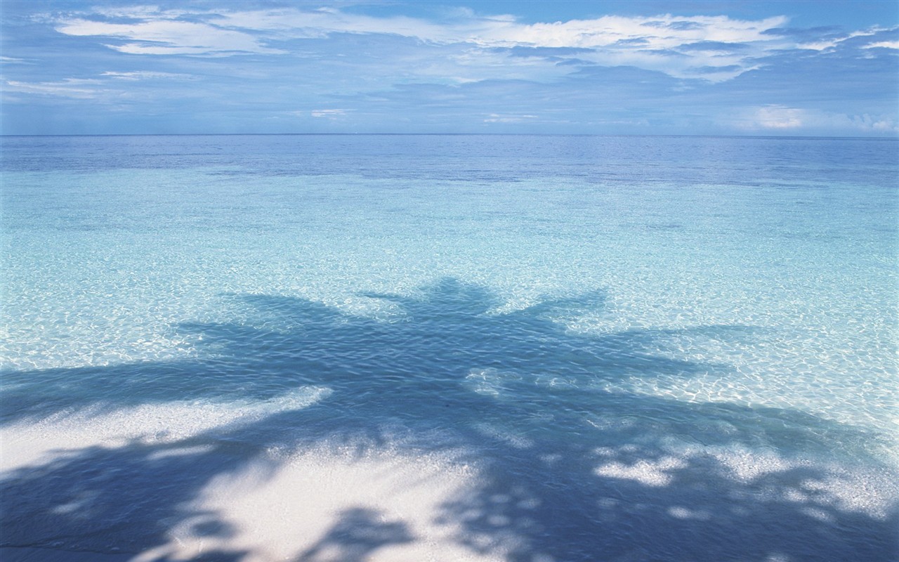 马尔代夫的水和天5 - 1280x800