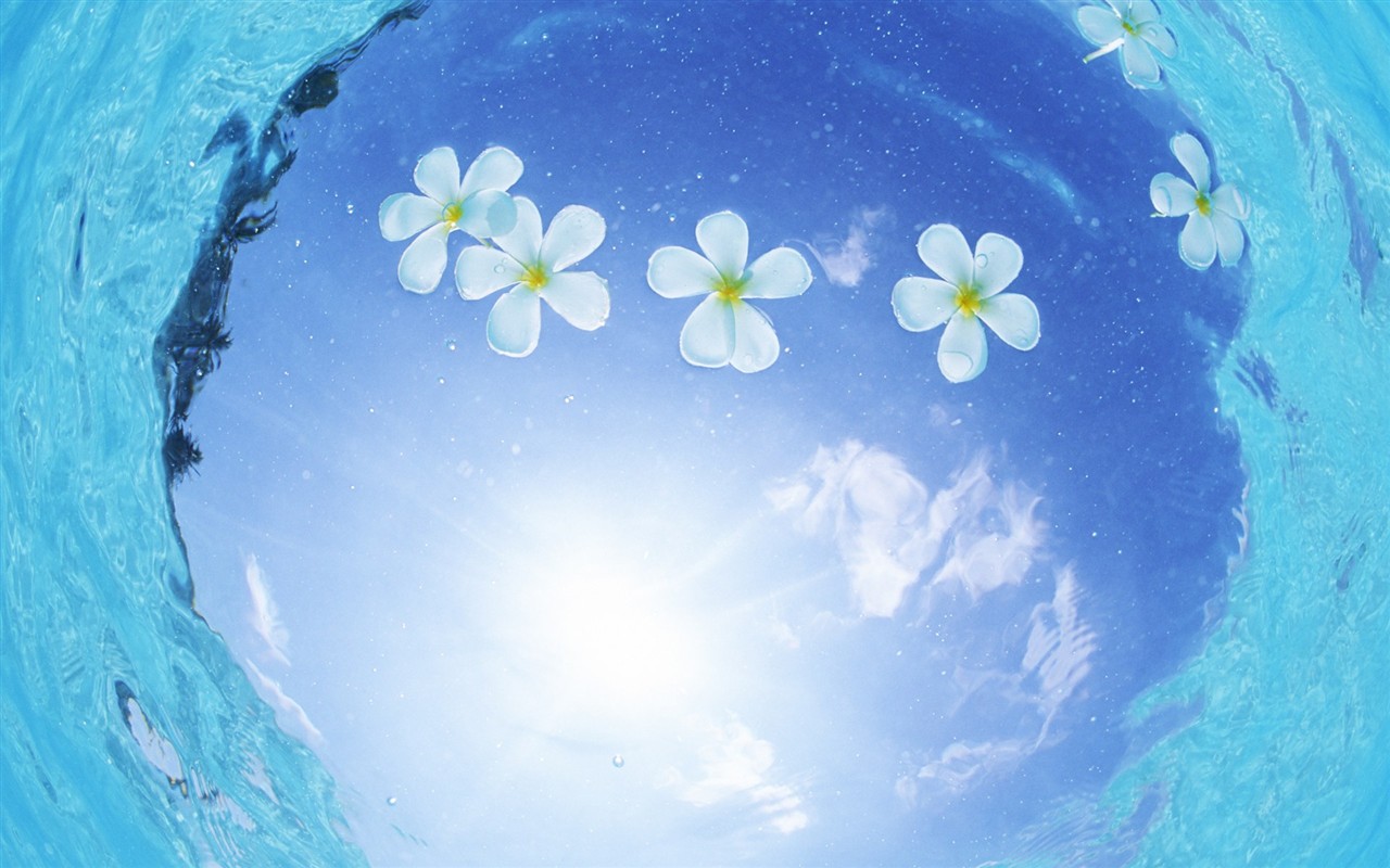 Maldives water and blue sky #9 - 1280x800