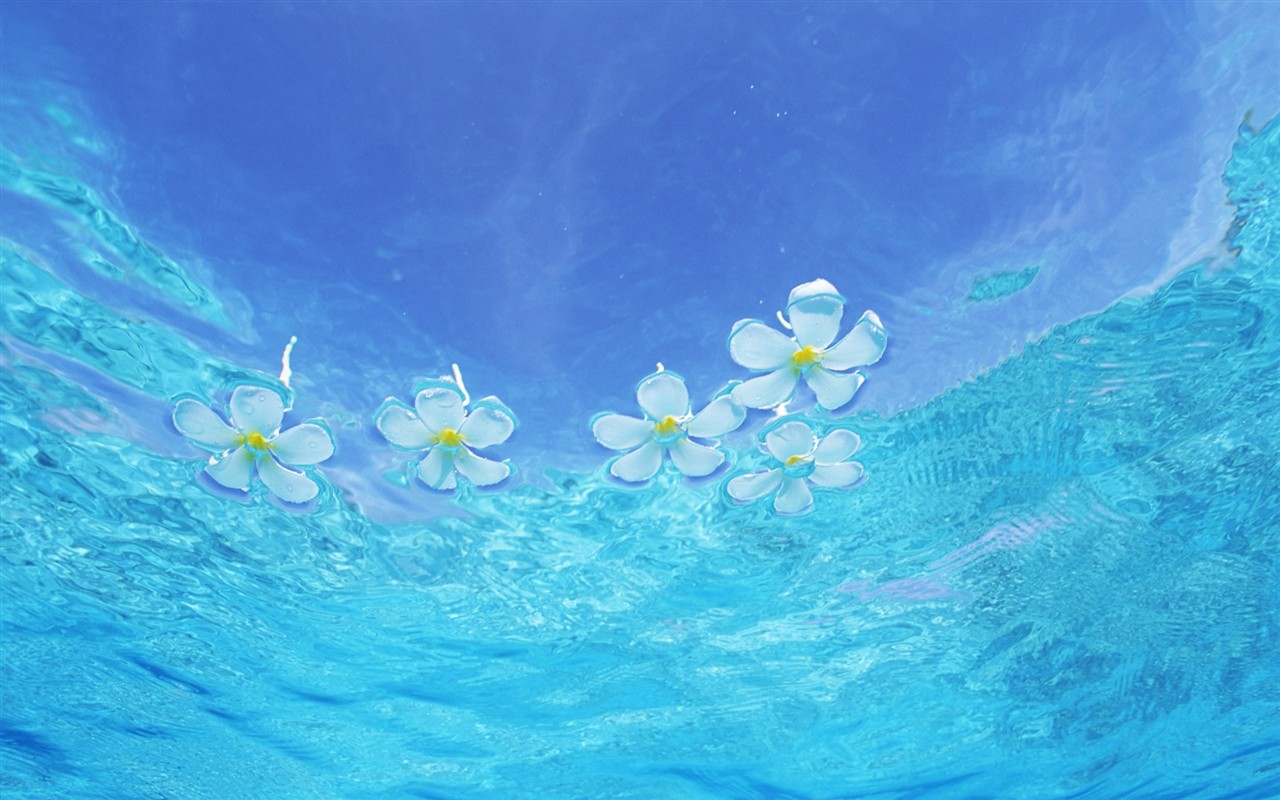 몰디브 물과 푸른 하늘 #11 - 1280x800