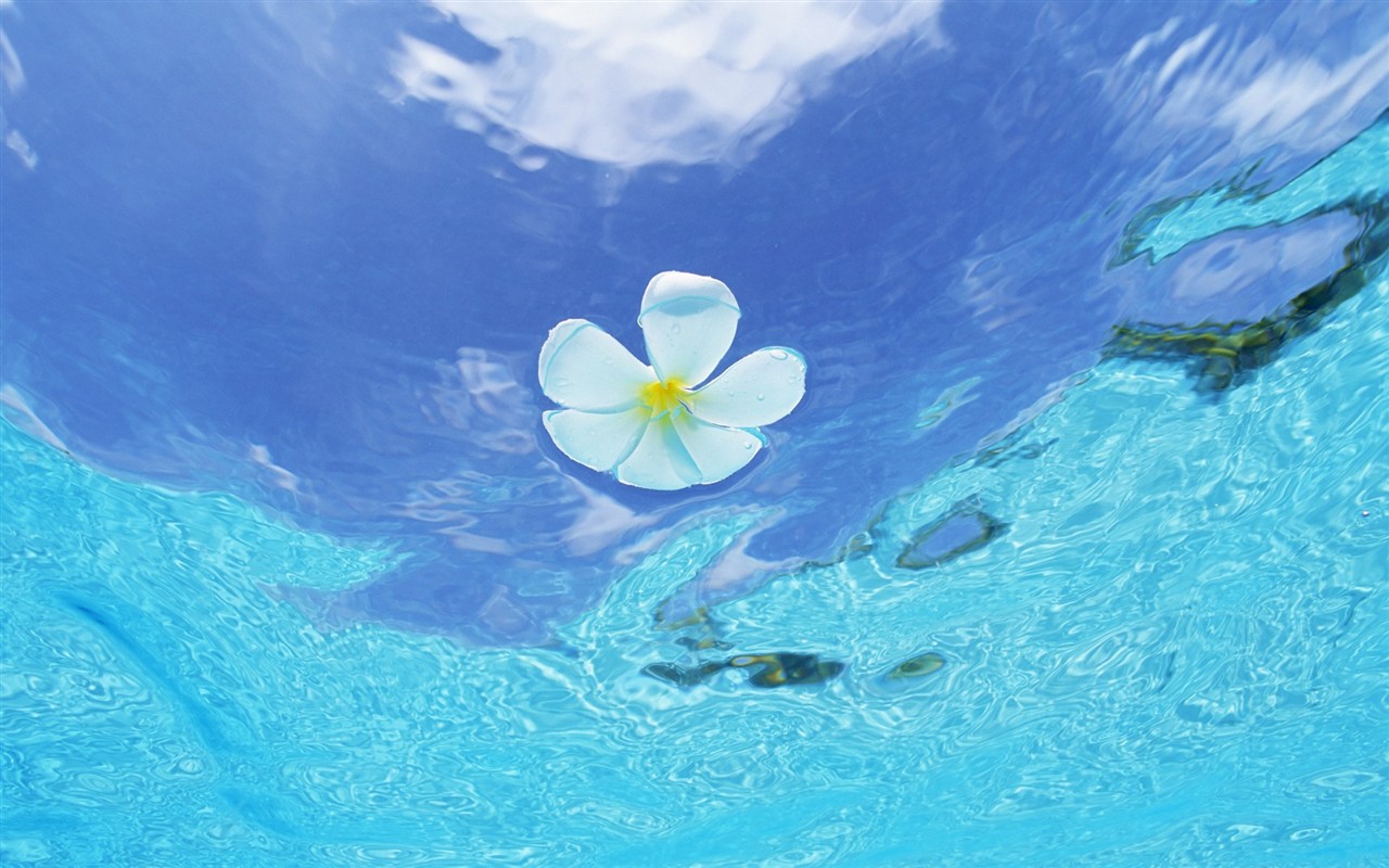 Malediven Wasser und blauer Himmel #12 - 1280x800