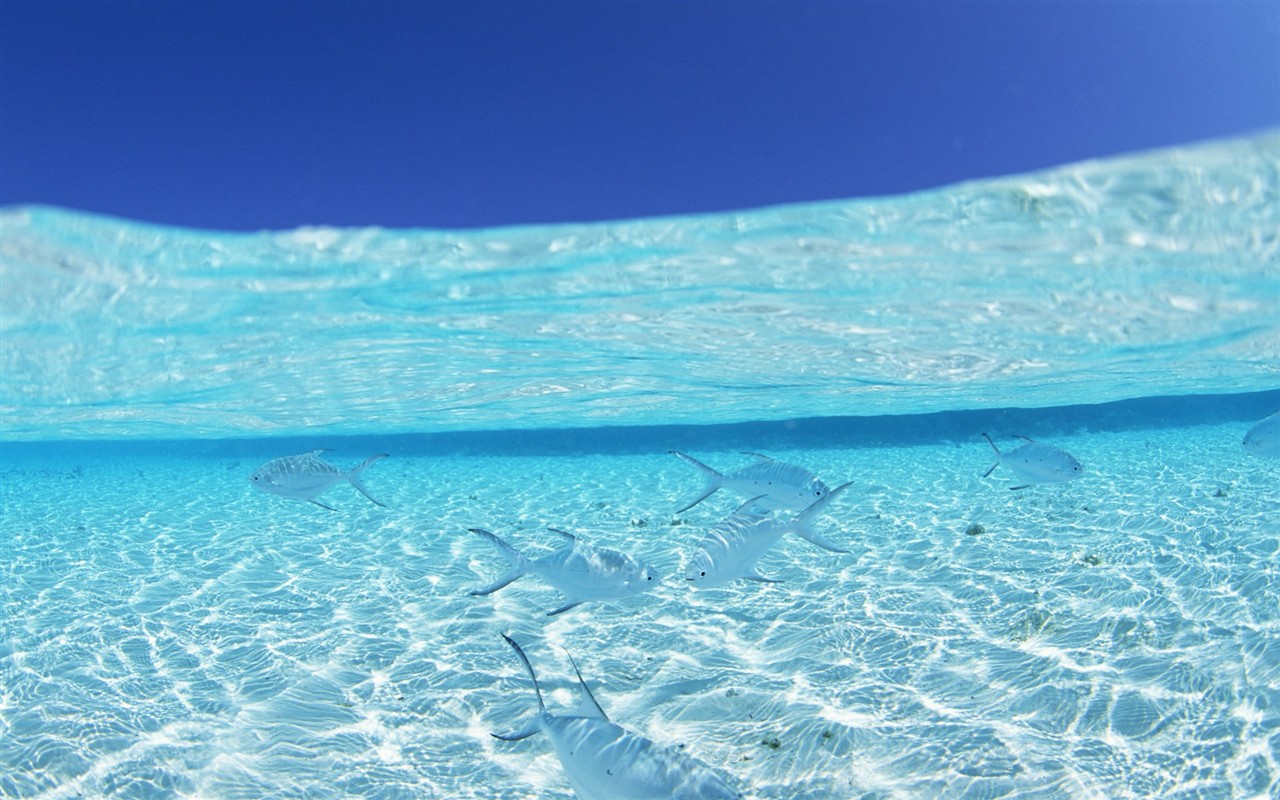 Malediven Wasser und blauer Himmel #23 - 1280x800