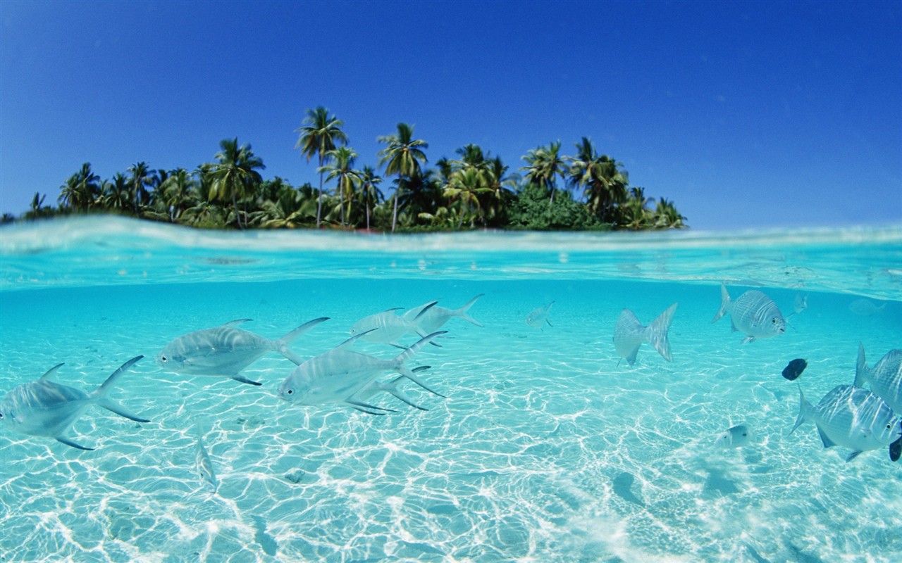 Malediven Wasser und blauer Himmel #24 - 1280x800
