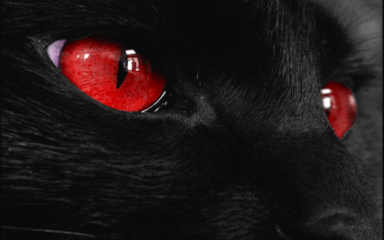 Non-mainstream black theme wallpaper #18 - 1280x800