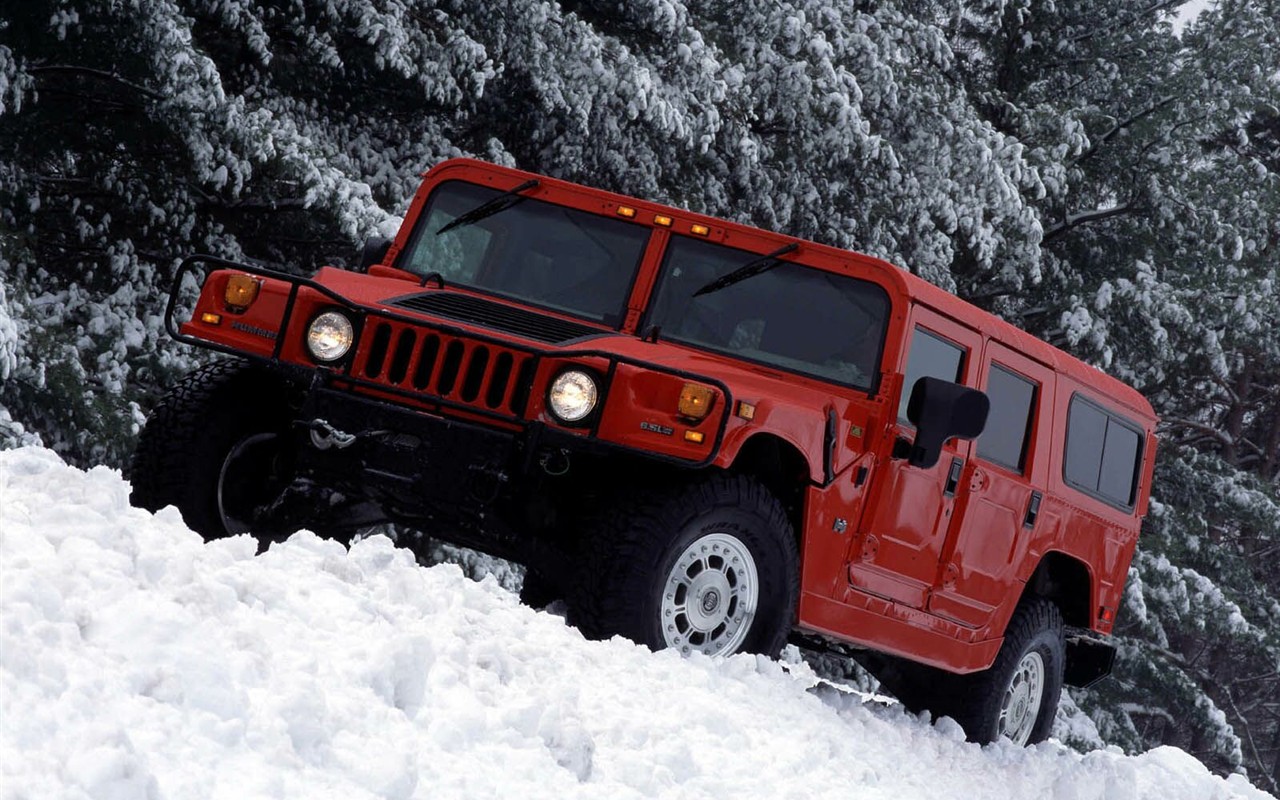 Hummer wallpaper album (1) #15 - 1280x800